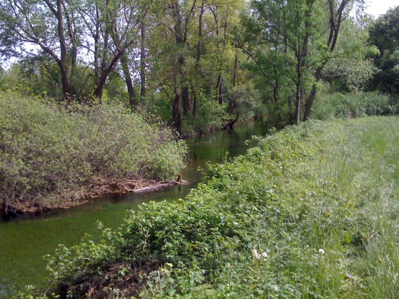 Canale Bonifica, Avasinis di Trasaghis, Maggio 2013