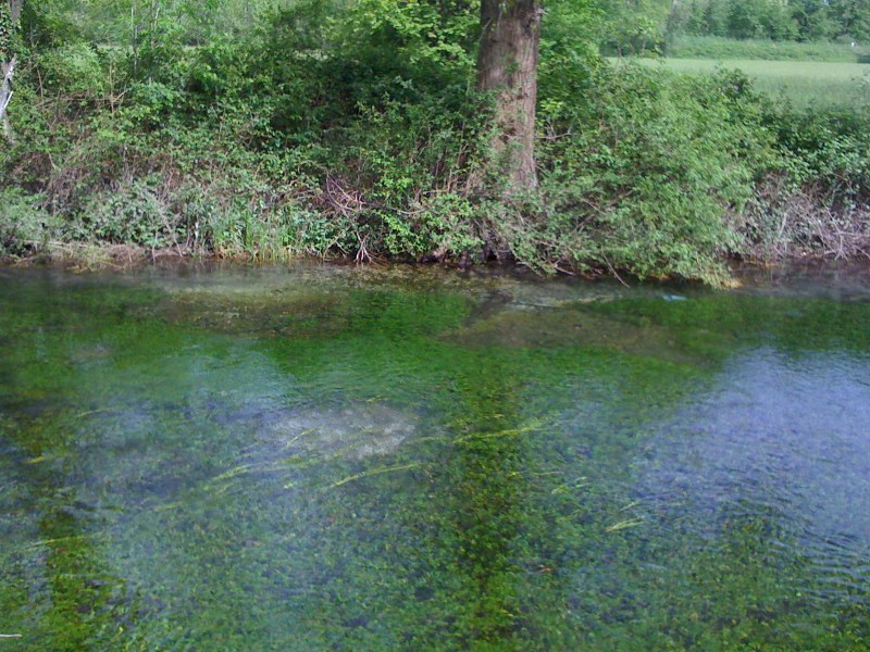 Canale Bonifica, Avasinis di Trasaghis, Maggio 2013