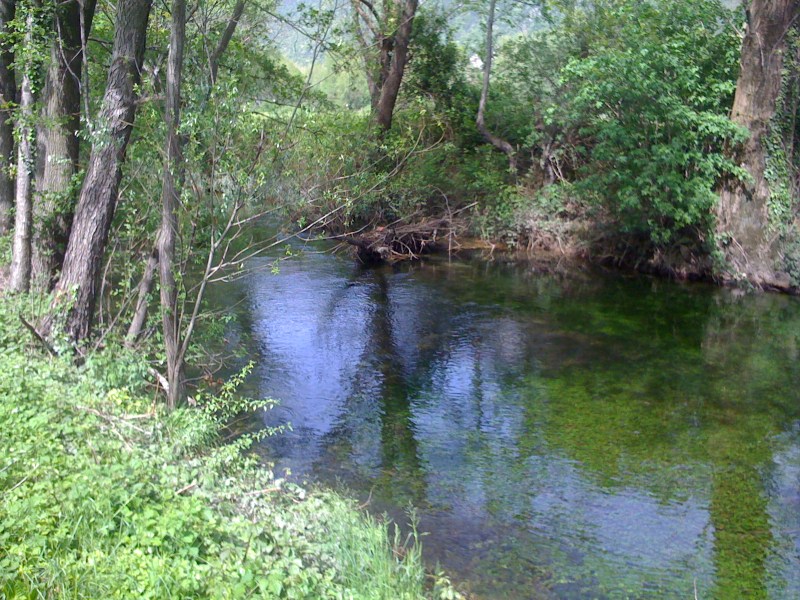Canale Bonifica, Avasinis di Trasaghis, Maggio 2013