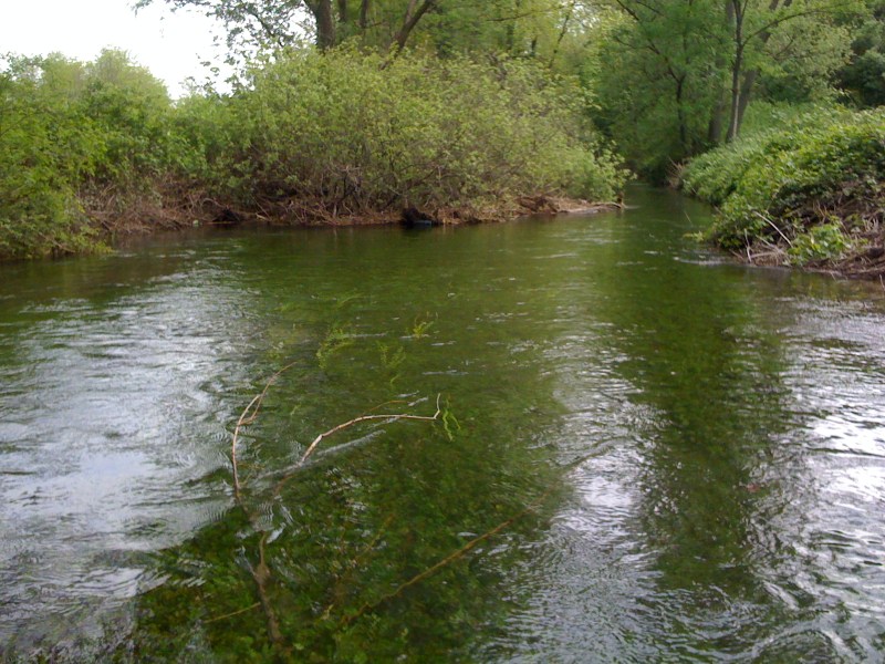 Canale Bonifica, Avasinis di Trasaghis, Maggio 2013