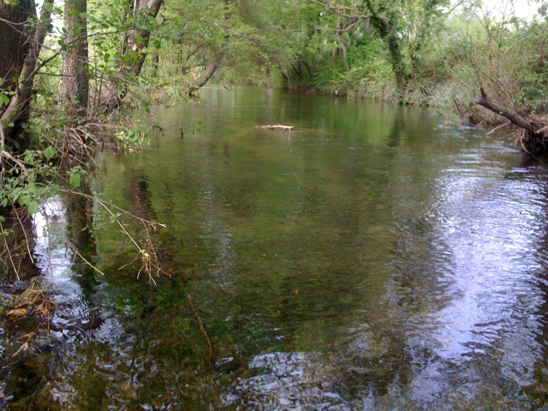 Canale Bonifica, Avasinis di Trasaghis, Maggio 2013
