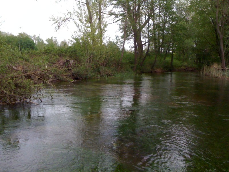 Canale Bonifica, Avasinis di Trasaghis, Maggio 2013
