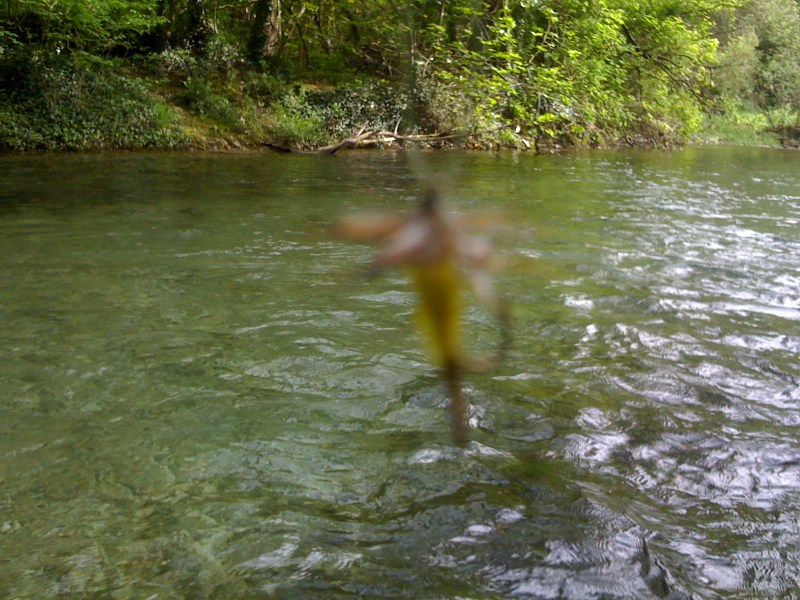 Torrente Melò, Avasinis di Trasaghis, Maggio 2013