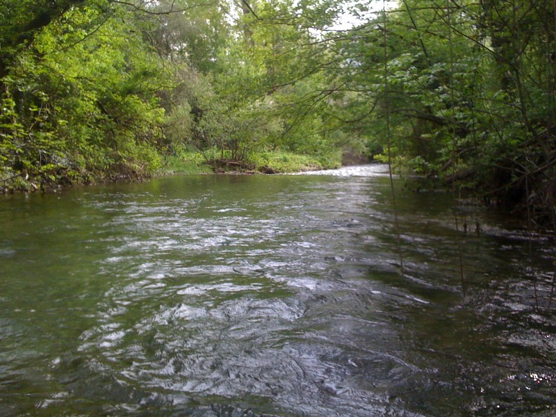 Torrente Melò, Avasinis di Trasaghis, Maggio 2013