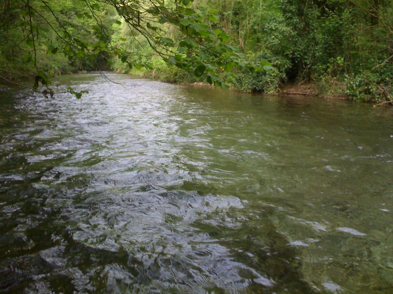 Torrente Melò, Avasinis di Trasaghis, Maggio 2013