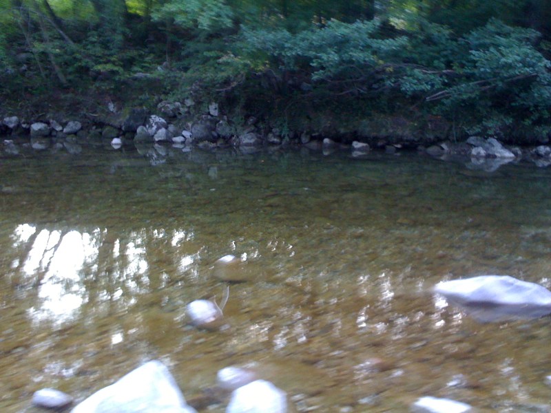 Fiume Natisone, Cras di Pulfero, Settembre 2011