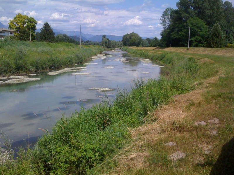 Fiume Ledra, Tiveriacco di Majano, giugno 2012
