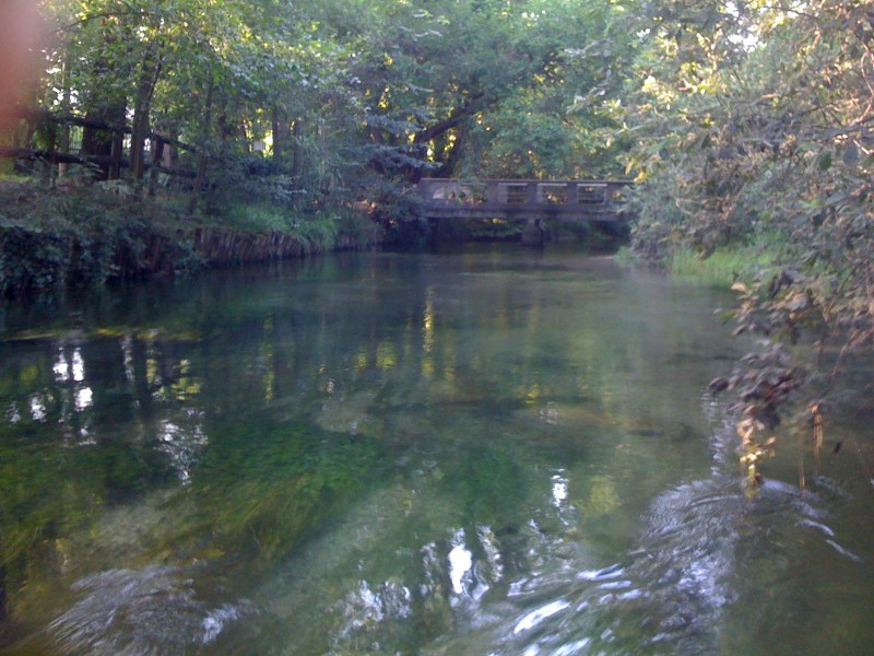 Fiume Stella, Sterpo di Bertiolo, Luglio 2012