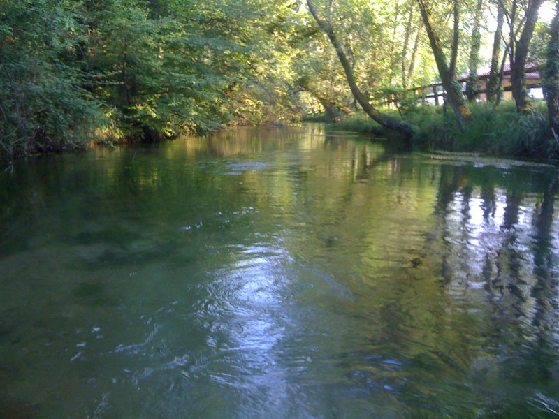 Fiume Stella, Sterpo di Bertiolo, Luglio 2012