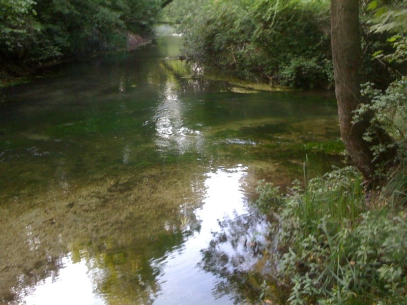 Fiume Stella, Sterpo di Bertiolo, Luglio 2012
