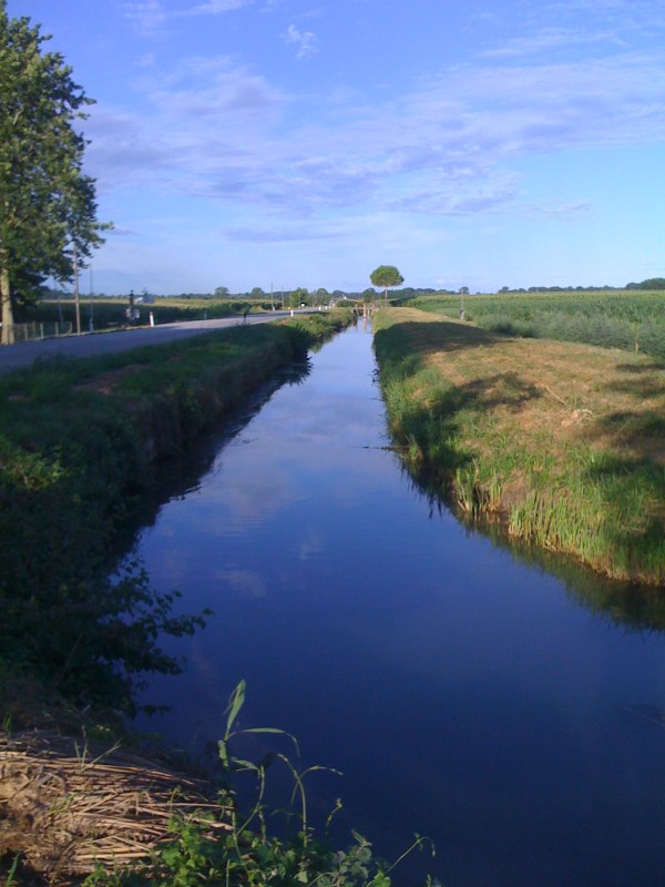 Roggia Barbariga, loc Vitaverde Ronchis, Luglio 2012
