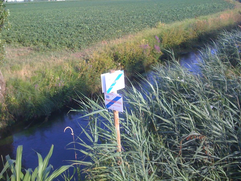 Fiume Cragno, Sella di Rivignano a Valle fine del NK, Luglio 2012