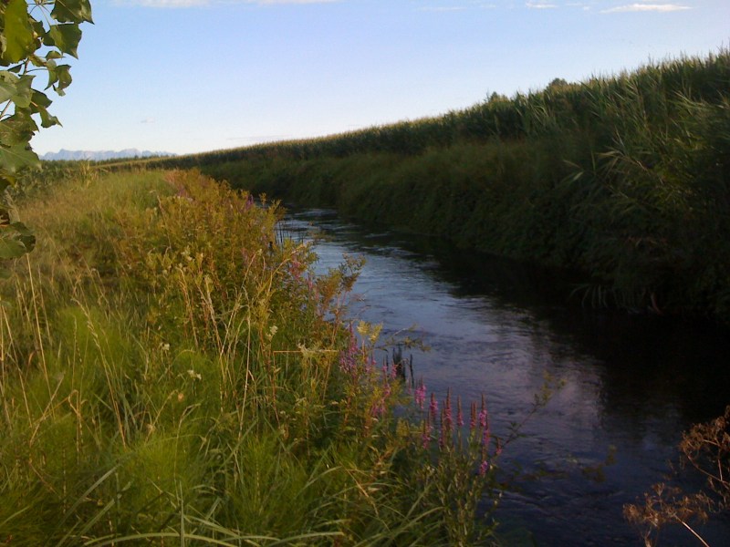 Fiume Cragno, Sella di Rivignano a Valle fine del NK, Luglio 2012