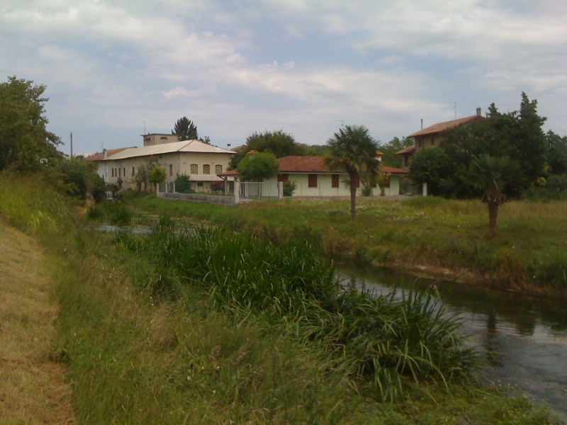 Fiume Torsa, Torsa di Pocenia a valle delle peschiere, Agosto 2012