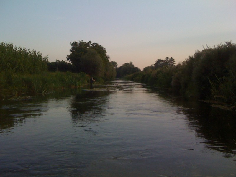 Fiume Torsa, Torsa di Pocenia, tra le peschiere, Agosto 2012