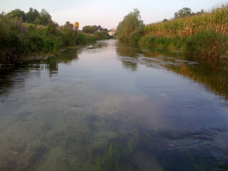 Fiume Torsa, Torsa di Pocenia, tra le peschiere, Agosto 2012