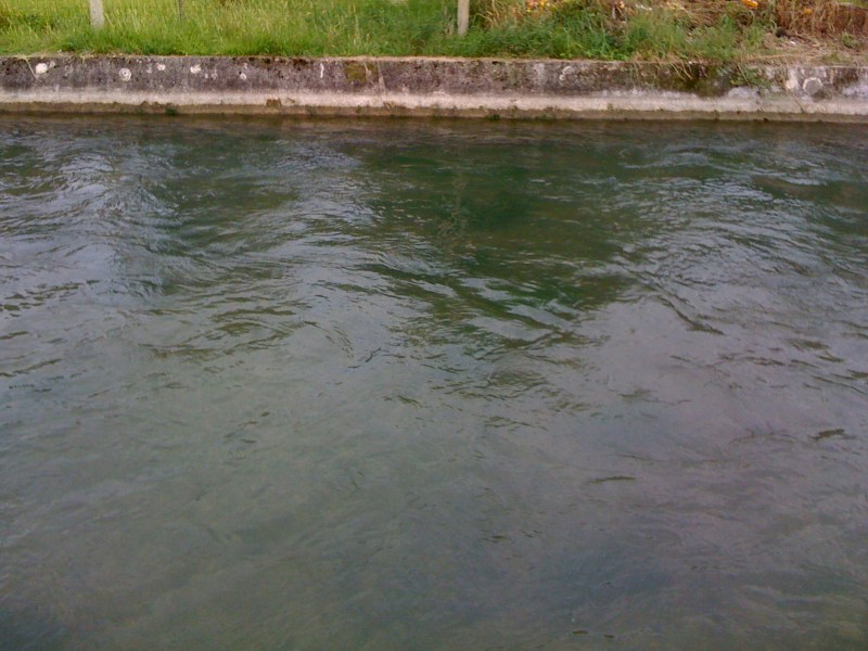 Roggia Grava, San Floreano di Buja, Settembre 2012