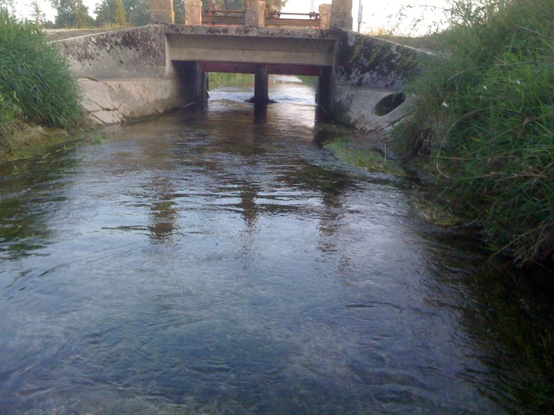 Roggia Miliana, Flambro di Talmassons, Settembre 2012