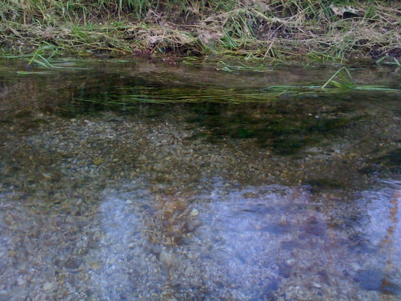 Roggia Miliana, Flambro di Talmassons, Settembre 2012