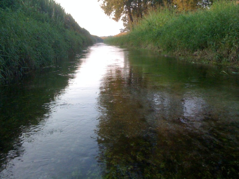 Roggia Miliana, Flambro di Talmassons, Settembre 2012