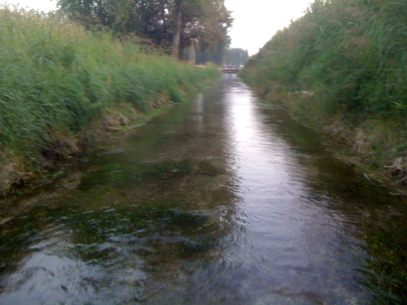 Roggia Miliana, Flambro di Talmassons, Settembre 2012