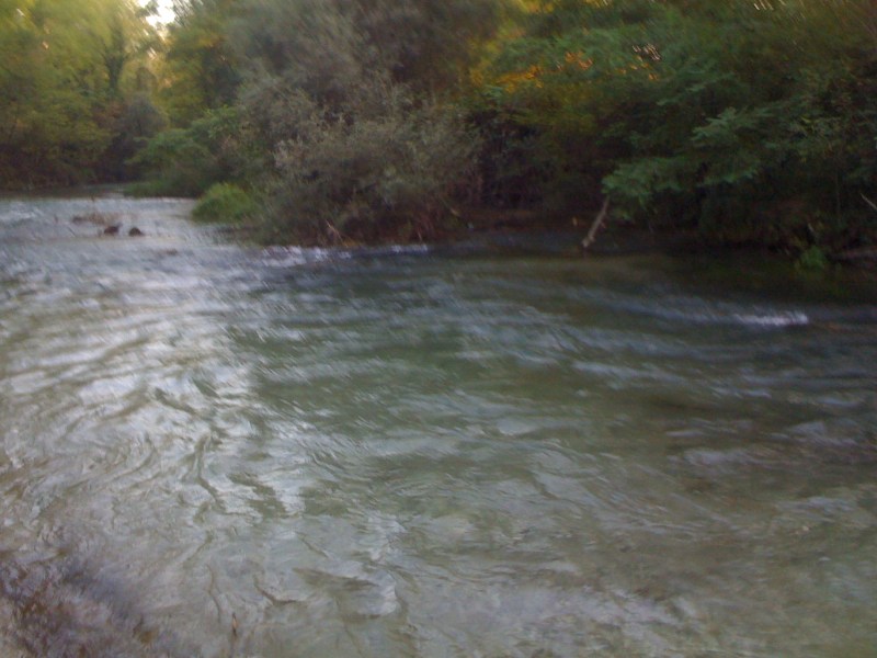 Fiume Varmo, Madrisio di Varmo, Settembre 2012