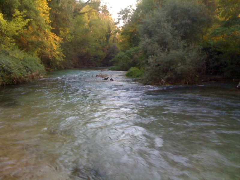 Fiume Varmo, Madrisio di Varmo, Settembre 2012