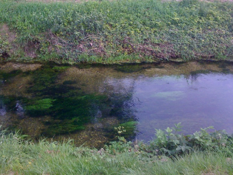 Cragno (settembre 2012)