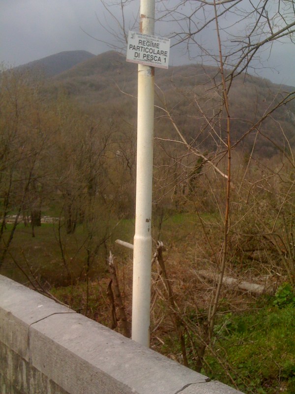 Fiume Natisone, Ponte di Vernasso (inizio zona RP1), Aprile 2013