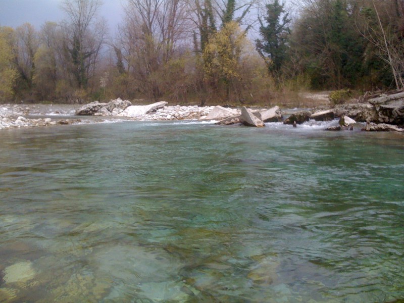 Fiume Natisone, sotto il ponte di Vernasso (inizio zona RP1), Aprile 2013