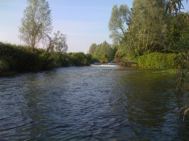 Fiume Varmo, Gradiscutta, Maggio 2013