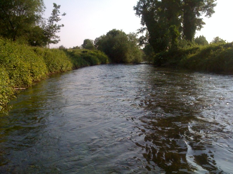 Fiume Varmo, Gradiscutta, Maggio 2013