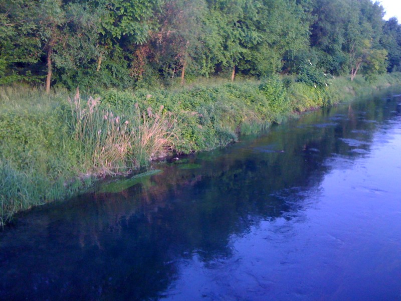 Fiume Varmo, Gradiscutta, Maggio 2013