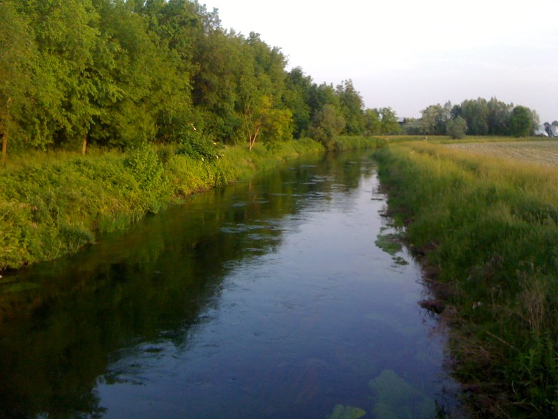 Fiume Varmo, Gradiscutta, Maggio 2013