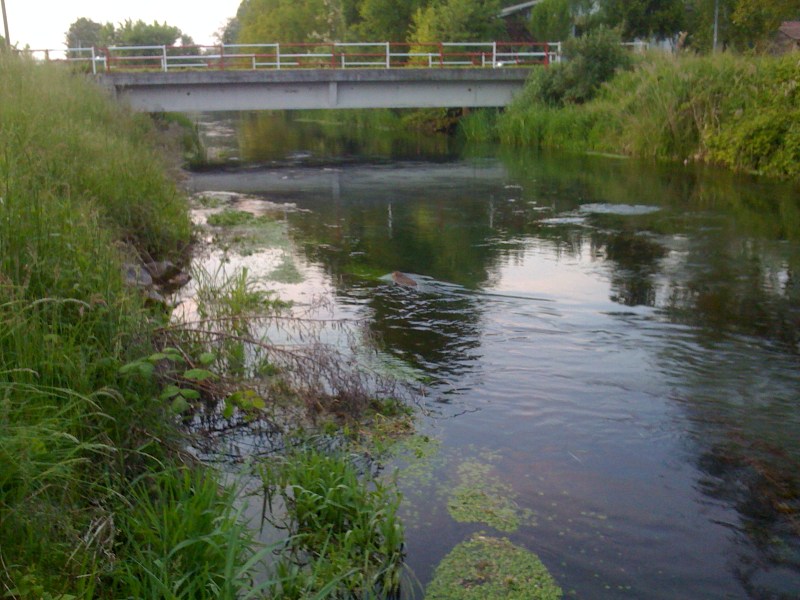 Fiume Varmo, Gradiscutta, Maggio 2013