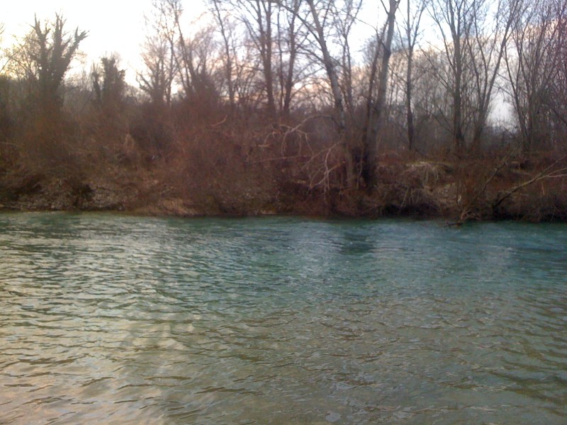 Natisone Oleis di Manzano - Gennaio 2014