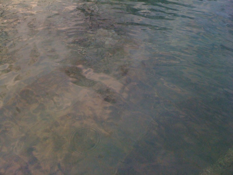 Natisone Oleis di Manzano - Gennaio 2014