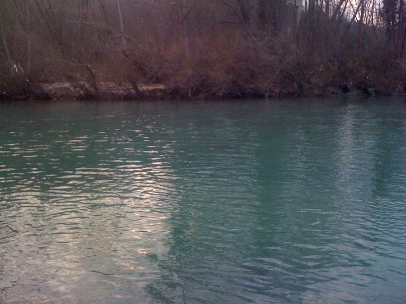 Natisone Oleis di Manzano - Gennaio 2014