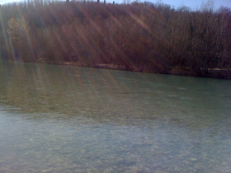 Natisone - Manzano - Febbraio 2014