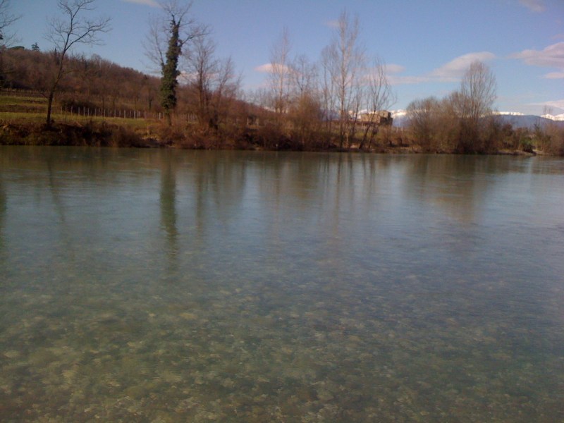 Natisone - Manzano - Febbraio 2014
