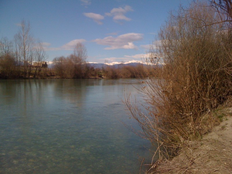 Natisone - Manzano - Febbraio 2014no - Gennaio 2014