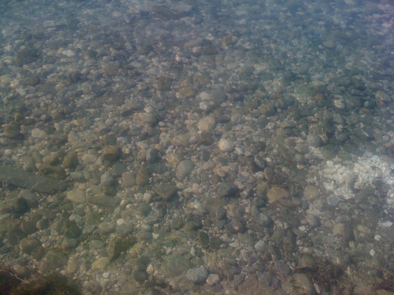 Natisone Oleis di Manzano - Gennaio 2014