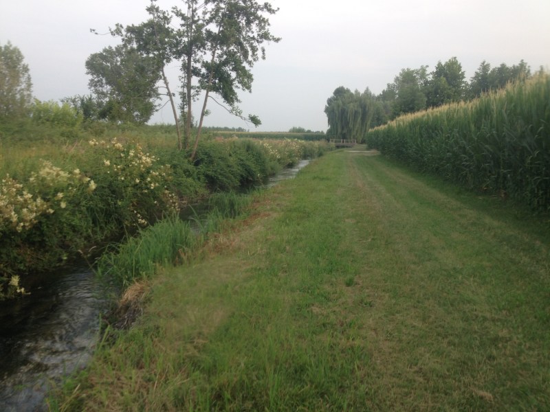Roggia Barbariga - Rivignano - Luglio 2015