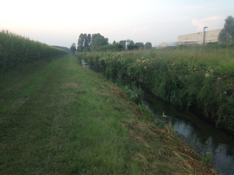 Roggia Barbariga - Rivignano - Luglio 2015