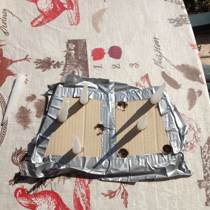 Cartone di test, con innesti dei coni