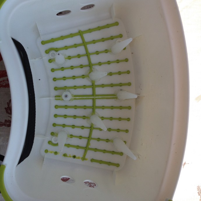 Stipping basket completato!